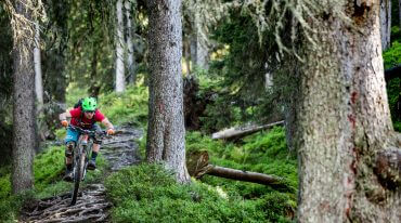 wurzelteppich_in_saalbach-hinterglemm (c)salzburgerland_david-schultheiss-for-wom-medien