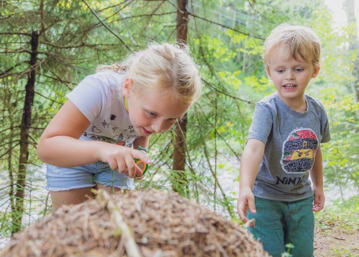 naturpark-wald walddetektive,Érdekes kalandtúrán vehetnek részt a gyerekek a Weissbach patak mentén