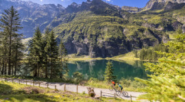 Gravelbike